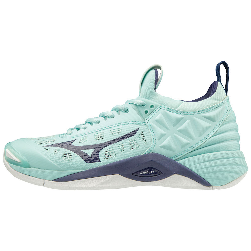 Mizuno Women's WAVE MOMENTUM Volleyball Shoes Blue White (V1GC191228-BWS)